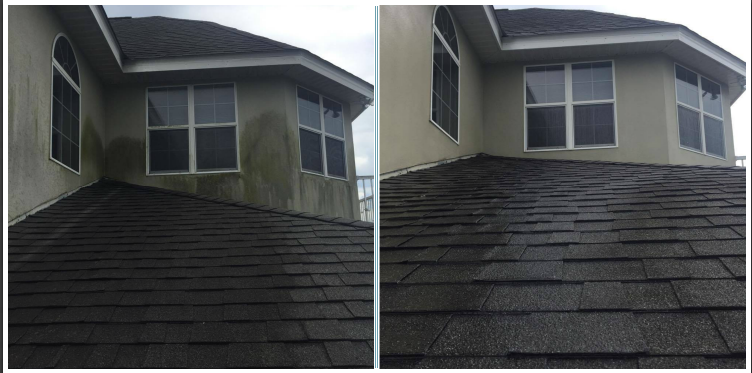 Softwash exterior cleaning in Ruskin,FL